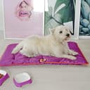 Ferplast Cuccia Cane e Gatto Antigraffio e Impermeabile, Tessuto Tecnico Resistente Tech, JOLLY Taglia Piccola, Materassino Lavabile a Mano a 30°, 65 x 48 x 3,5 cm, Marrone - 3