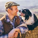 zooprinz wetterfeste Hundehütte Bella - aus massivem Holz - perfekt für draußen - mit umweltfreundlicher Farbe gestrichen in modernen Farben - 3 Größen zur Wahl - 8