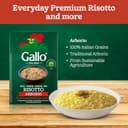 Riso Gallo Vegan Arborio Rice, 500 g (Pack of 12) - 2