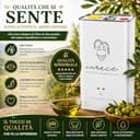 Olio Extravergine di Oliva 100% Italiano – Calabria Ionica – Blend Pregiato di Carolea, Pendolino e Cultivar Locali – Estratto a Freddo – IURACE - 8