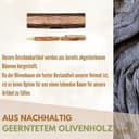 Kassis Geschenkartikel Personalisierbarer Kugelschreiber aus Olivenholz mit Holzschachtel – stilvolles handgefertigtes Schreibset für Büro, Schule, Firma und besondere Anlässe - 8