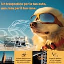 CADOCA® Trasportino Cani XL 89x70x51cm Richiudibile Alluminio Impermeabile Box Auto Cagnolini - 4