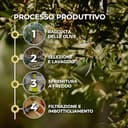 RACILIA Olio Extravergine di Oliva Biologico - Olio Evo Bio 100% Italiano, Spremuto a Freddo - 5 Litri x 2 - 3