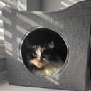 GEEZY Large Collapsible Indoor Cat House - 2-in-1 Foldable Cat Cave & Soft Lounger Bed - Stackable Hideaway Igloo for Pet Kittens - 2