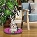 Ferplast Cuccia Cane Relax, Cuscino per cani di taglia piccola, Cuccia Gatto, Tappetino per cucce e auto -Lavabile - in Cotone con Soffice Imbottitura, 55 x 36 cm. Viola - 2