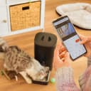 Cecotec Comedero Dispensador Automático para Mascotas con Control WiFi, Cámara, Grabadora de Voz Pumba 6000 Purrfect Meal Smart Vision. 6L, Control de Porciones, Alarma, Cuenco de Acero INOX - 4
