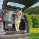 Ferplast Hundetransportbox Transportbox für große Hunde Atlas 70, Reisebox für Hunde, Sicherheitsverriegelung, Lüftungsgitter, 68,5 x 101 x h 75,5 cm Grau - 10
