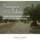 Terre di Lidia - Olio extravergine di oliva - 1 Latta da 5 L- Filiera corta, Campagna 2025/2026, Estratto a freddo - Varietà Coratina, Gusto Intenso - Produzione 100% italiana - 7