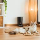 Cecotec Comedero Dispensador Automático para Mascotas con Control WiFi, Cámara, Grabadora de Voz Pumba 6000 Purrfect Meal Smart Vision. 6L, Control de Porciones, Alarma, Cuenco de Acero INOX - 2