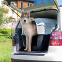 Ferplast Trasportino Cane CLIPPER PLUS, IATA, Trasportino Cane Taglia Grande max 60 Kg, Trasportino Rigido, Chiusura Sicura, con Doppio Vano per Accessori, Maniglia Estraibile, 105 x 75 x h 79 cm - 2