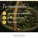 Terre di Lidia - Olio extravergine di oliva - 1 Latta da 5 L- Filiera corta, Campagna 2025/2026, Estratto a freddo - Varietà Coratina, Gusto Intenso - Produzione 100% italiana - 5