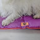 Ferplast Cuccia Cane e Gatto Antigraffio e Impermeabile, Tessuto Tecnico Resistente Tech, JOLLY Taglia Piccola, Materassino Lavabile a Mano a 30°, 65 x 48 x 3,5 cm, Marrone - 4