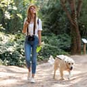 Pecute Hundeleine 10m, Rollleine für Hunde, 360° Verhedderungsfreier Leinenverlängerung, Anti-Rutsch-Griff & Schnellbremsknopf, Geeignet für Hunde bis zu 50kg Gewicht - 8