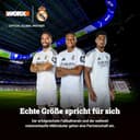 WORX Landroid Vision L1600 WR216E.1 - Mähroboter ohne Begrenzungskabel für Gärten bis 1600m², AI Rasenmäher Roboter (WLAN & Bluetooth, aktive Hindernisvermeidung mit KI-Technologie, Igelschutz) - 11