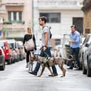 Julius-K9, Pettorina IDC Power, Taglia: XS / Mini-Mini, Colore: Rosso - 2