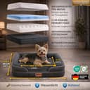 CORTES PETS Cuccia ortopedica per cani di taglia piccola – Divano per cani – Rivestimento sfoderabile e lavabile, bordi rialzati – Sofà – Memory Foam, impermeabile – Cuscino per cani 60 x 48 cm - 2