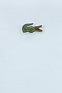 Lacoste Herren Sport, Poloshirt L1230-00, Einfarbig, Weiß (WHITE 001), Gr. Large (Herstellergröße: 50)(T5) - 4