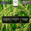 Wizebite's Choice - Auténtico Arroz Carnaroli Clásico Pozzi | 1 Kg | Top Italian Food - Gambero Rosso | 100% Italiano | Arroz Joven | Para Risotto y Platos Refinados | Riso Carnaroli - 4