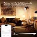 Osram SMART+ LED-Lampe, A53, 6W, 2400K, E27, Kolbenform, Filament, Gold, dimmbar, steuerbar per App oder Sprache, kompatibel mit Matter-Systemen - 5