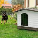 Ferplast Hundehütte DOGVILLA 90, Hundehütte Outdoor, Hundehaus, Seite zum öffnen, Boden zum Abtropfen, Isolierender Boden, Abnehmbares Dach, Lüftungsgitter, Recycelter Kunststoff, 88 x 72 x h 65 cm - 8