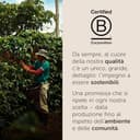 illy, Caffè in Grani da Macinare INTENSO, 100% Arabica con Note di Cacao e Frutta Secca, Retrogusto Pieno e Corposo, 1 Barattolo da 250g - 6