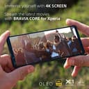 Sony Xperia 1 V Platinsilber ohne Simlock, ohne Branding - 6