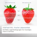 Bosch Freistehende Kühl-Gefrier-Kombination 203 x 60 cm, Serie 4, Total No Frost, VitaFresh XXL für länger frische Lebensmittel, Easy Access Shelf, Perfect Fit, Metall-Optik, KGN392LCG - 4