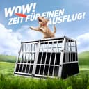 CADOCA® Hundetransportbox Aluminium Hundebox Kofferraum robust verschließbar trapezförmig XXL 97x90x70cm Reisebox Autobox Tiertransportbox - 9