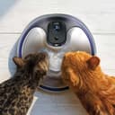 Fuente Sin Cables Catit PIXI de Acero Inoxidable UVC, 5 l - 4