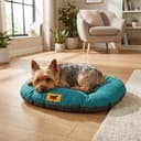 Ferplast Cuccia Cane Relax, Cuscino per cani di taglia piccola, Cuccia Gatto, Tappetino per cucce e auto -Lavabile - in Cotone con Soffice Imbottitura, 55 x 36 cm. Turchese - 2