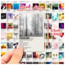 100 calcomanías para portada de álbum para adultos, paquete de calcomanías de música, rapero y banda, calcomanías para botella de agua para laptop para adolescentes - 5