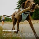 Ruffwear Front Range Flex Dog Harness, Adjustable & Soft, Lightweight Dog & Puppy Harness, 2 Lead Attachment Points, Engineered Knit & Reflective Trim, Polar Blue, Size L/X-Large - 3