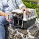 Ferplast Trasportino per Gatti e Cani Taglia Piccola fino a 3 Kg, ATLAS 5 in Plastica, Porta in Ferro Plastificato, Fessure di Aerazione, 28 x 41,5 x h 24,5 cm - 4