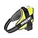 Julius K9 IDC Powair Dog Harness, Size L / 1, Neon - 2