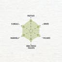 Costa d'Oro – 100% Italiano 750 ml. Olio extravergine di oliva estratto a freddo da olive 100% italiane. Bottiglia da 75 cl. - 2