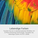 Dell 27 Plus Monitor - S2725QS, 4K UHD (3840x2160), 120Hz, IPS, 4ms, AMD FreeSync Premium, 99% sRGB, Höhenverstellbar, Eingebaute Lautsprecher, DisplayPort, 2 HDMI, 3 Jahre Garantie - 2