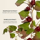 Shiseido Ultimune Gesichtscreme Power Infusing 30ml - 3