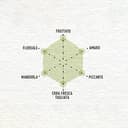 Costa d'Oro – Il Grezzo, Olio extravergine di oliva non filtrato 100% italiano. Estratto a freddo subito dopo il raccolto, ricco di vitamine e antiossidanti naturali. Latta Da 3 litri. - 2