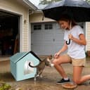 Cat Kennel – House Closed Waterproof to Rain – Den Shaped Cat Bed – for Kittens Calming Puppies During Sleep Travel Animals Winter Home Indoor and Outdoor Use - 8