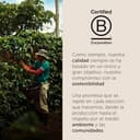 illy, Café en Grano Arabica Selection Etiopía, 100% Arábica con Notas de Jazmín, Azahar y Manzanilla, Sabor Delicado, 1 lata de 250g - 5