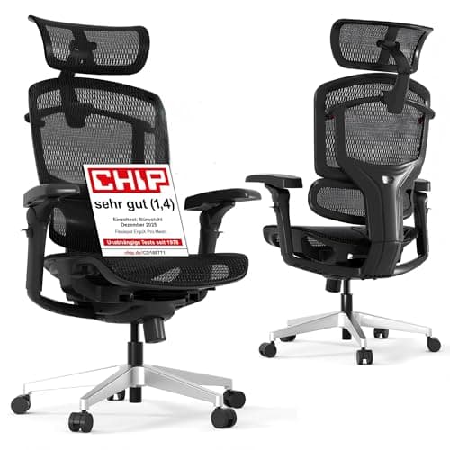 FLEXISPOT ErgoX Pro Ergonomischer Bürostuhl mit 12-stufiger Höhenverstellung, 7D-Armlehnen, 5D-Lendenstütze, 4D-Kopfstütze, 250-kg Belastbarkeit und atmungsaktivem Netzsitz (Schwarz)
