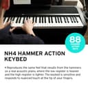 Korg B2SP-BK Piano B2SP BK - 7