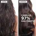 Kérastase Chronologiste Bain Régénérant, Champú Regenerador para Cabello Debilitado por Signos del Envejecimiento, Revitaliza y Protege la Fibra, Enriquecido con Ácido Hiaurónico y Abyssine, 500 ml - 4