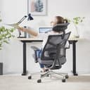 HOLLUDLE Silla de Oficina Ergonómica con Respaldo Adaptativo, Silla de Escritorio de Alto Respaldo con Reposabrazos 4D, Profundidad de Asiento Ajustable, Soporte Lumbar y Reposacabezas 2D, Negro y Gri - 2