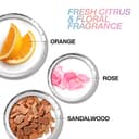 Redken | Shampoo professionale Acidic Bonding Concentrate ABC, Azione Riparatrice, Per Tutti i Tipi di Capelli Danneggiati, 300 ml - 10