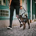 JULIUS K-9 IDC Powergeschirr, Größe: 2XL / 3, Schwarz, 16IDC-P-3 - 6