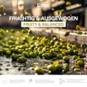 Extra Virgin Olive Oil – Cold Pressed & 100% Natural – Premium Greek Olive Oil, First Grade (5 Litres) - 5