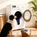 WAVVE Cama Perro Grande Ortopédica 91x69x7.6 cm, Colchon Perro Impermeable Lavable Desenfundable, Colchoneta Perro con Espuma De Caja De Huevos, Irrompible Dog Bed, Gris - 5