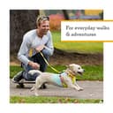 RUFFWEAR Arnés para Perros Hi & Light, Ultraligero para Caminar de Aventura, Totalmente Ajustable, Portal de Accesorios de Aluminio en V, Bolsa de identificación, Verde Salvia, Talla S, 56-69 cm - 6