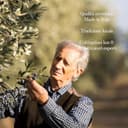 ALBORI Soave - Olio Extravergine di Oliva Italiano 5 Litri NUOVO 2025/2026 Estratto Freddo, Olio di Oliva con Olive Leccino e Peranzana Delicato per Pesce, Carne, Verdura, Box con Versatore Antispreco - 9
